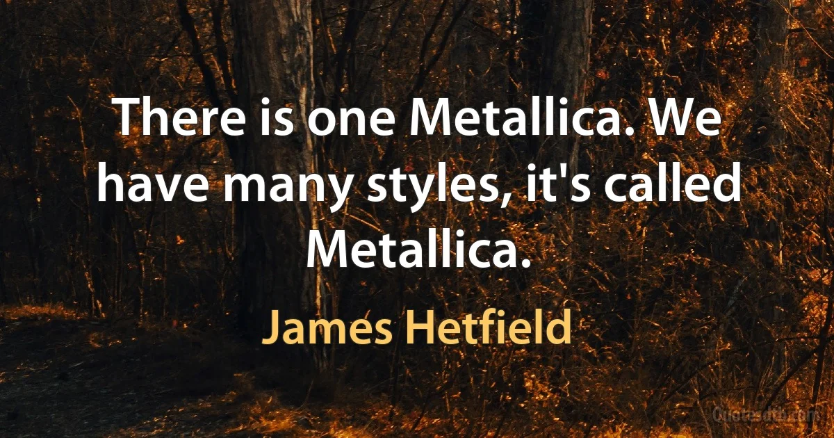 There is one Metallica. We have many styles, it's called Metallica. (James Hetfield)