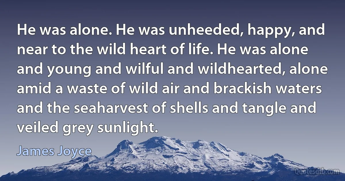 He was alone. He was unheeded, happy, and near to the wild heart of life. He was alone and young and wilful and wildhearted, alone amid a waste of wild air and brackish waters and the seaharvest of shells and tangle and veiled grey sunlight. (James Joyce)