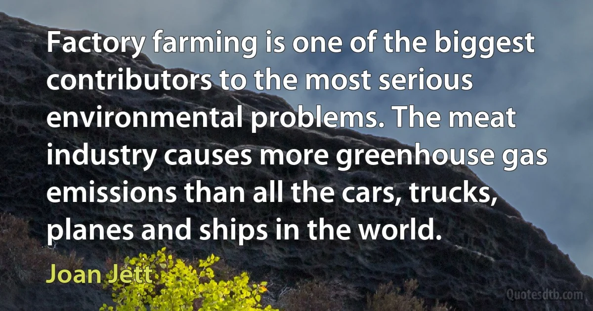 Factory farming is one of the biggest contributors to the most serious environmental problems. The meat industry causes more greenhouse gas emissions than all the cars, trucks, planes and ships in the world. (Joan Jett)