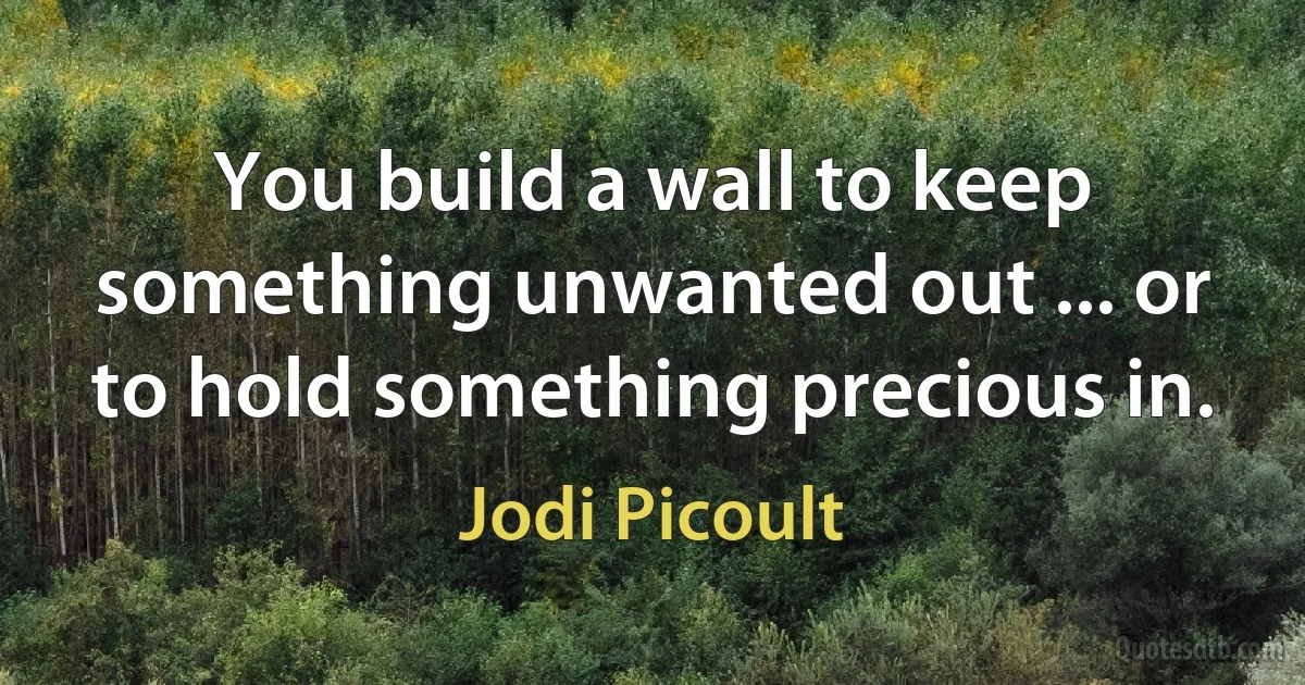 You build a wall to keep something unwanted out ... or to hold something precious in. (Jodi Picoult)