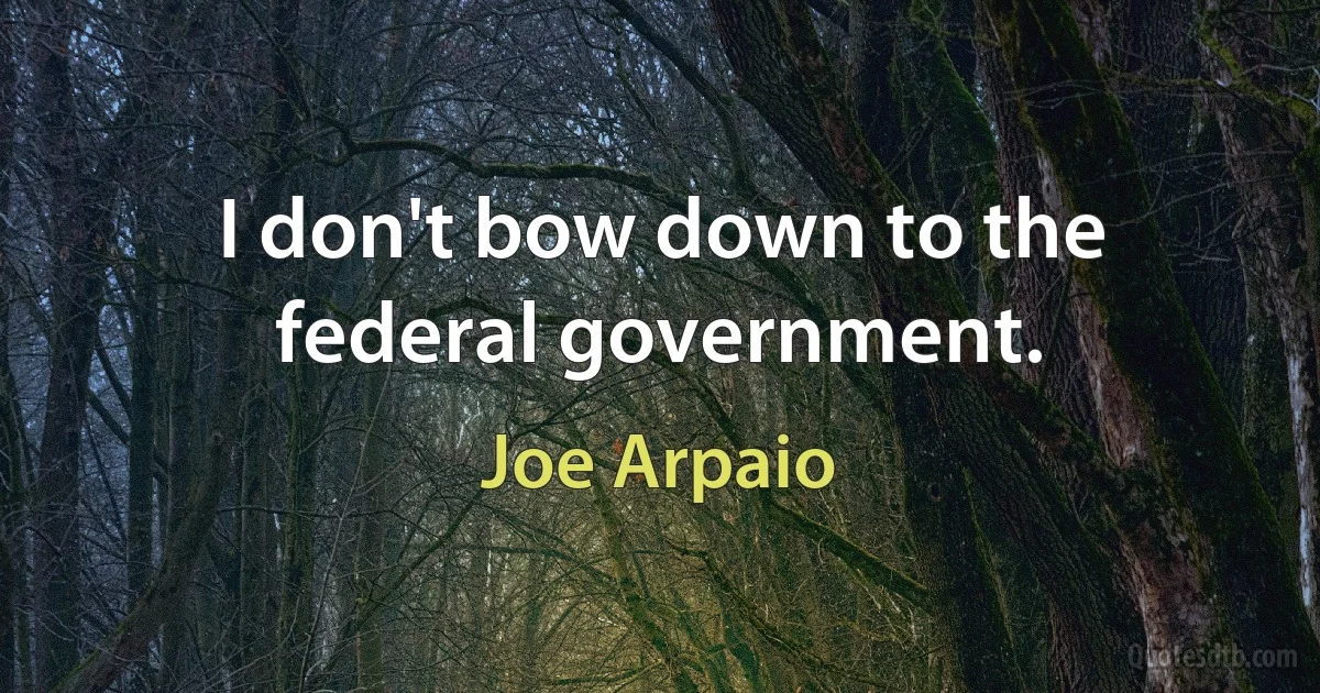 I don't bow down to the federal government. (Joe Arpaio)