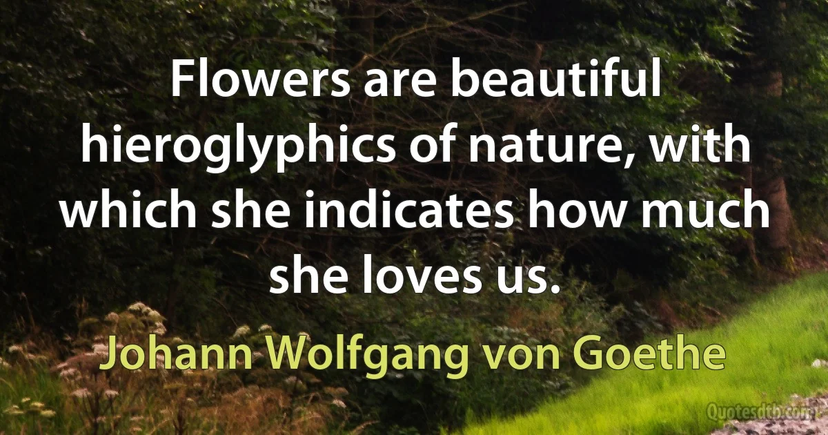 Flowers are beautiful hieroglyphics of nature, with which she indicates how much she loves us. (Johann Wolfgang von Goethe)