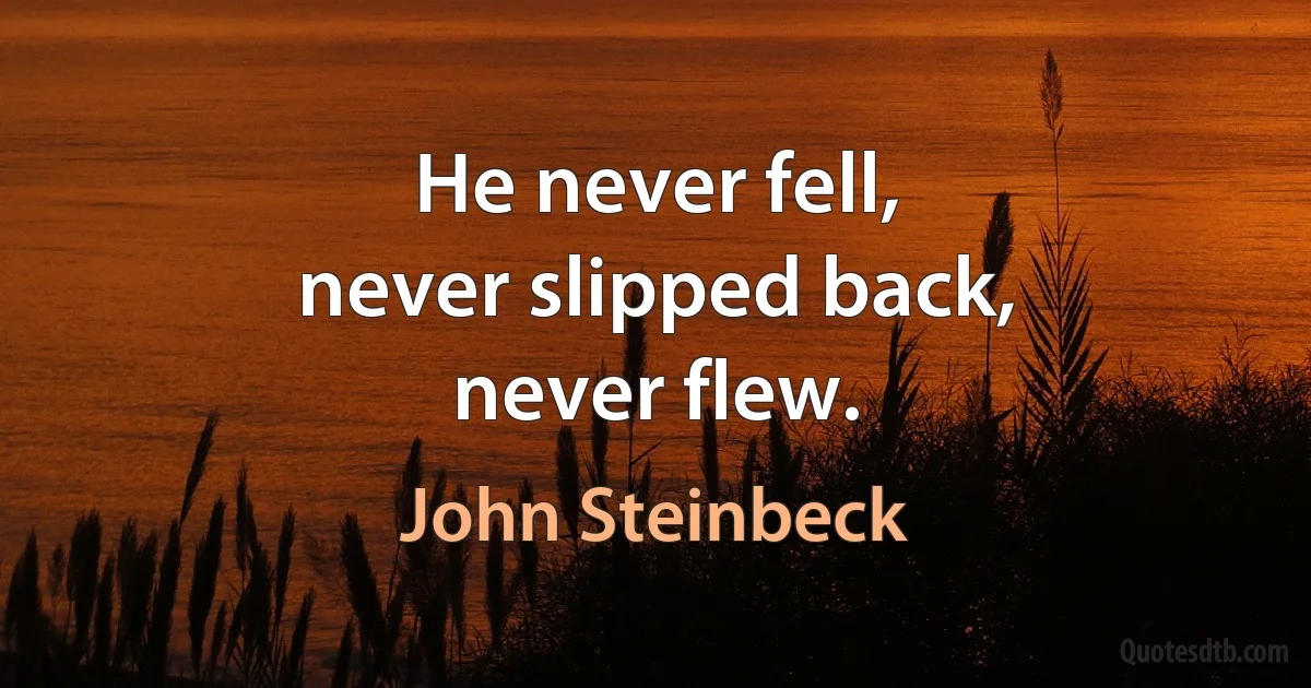 He never fell,
never slipped back,
never flew. (John Steinbeck)