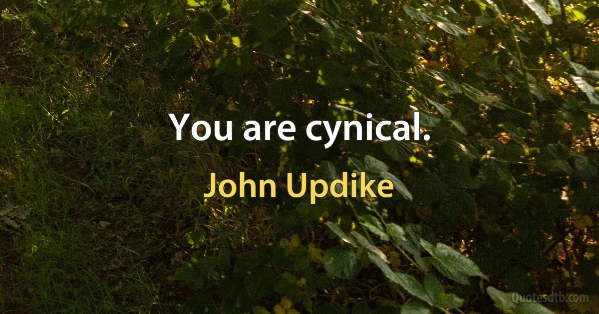 You are cynical. (John Updike)