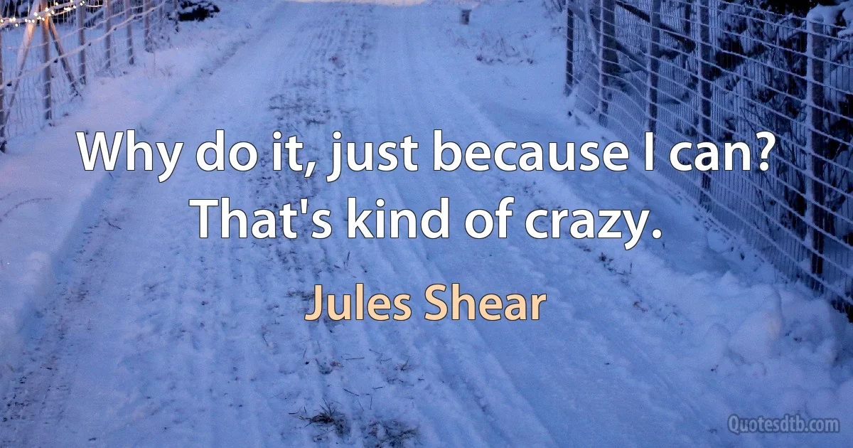 Why do it, just because I can? That's kind of crazy. (Jules Shear)