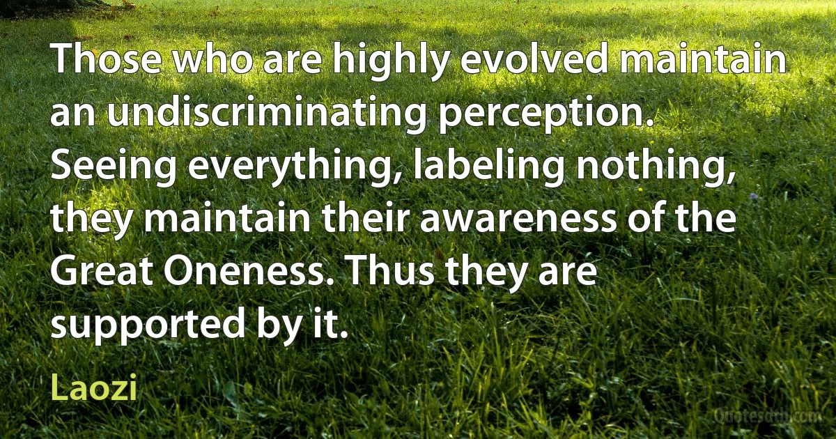 Those who are highly evolved maintain an undiscriminating perception. Seeing everything, labeling nothing, they maintain their awareness of the Great Oneness. Thus they are supported by it. (Laozi)