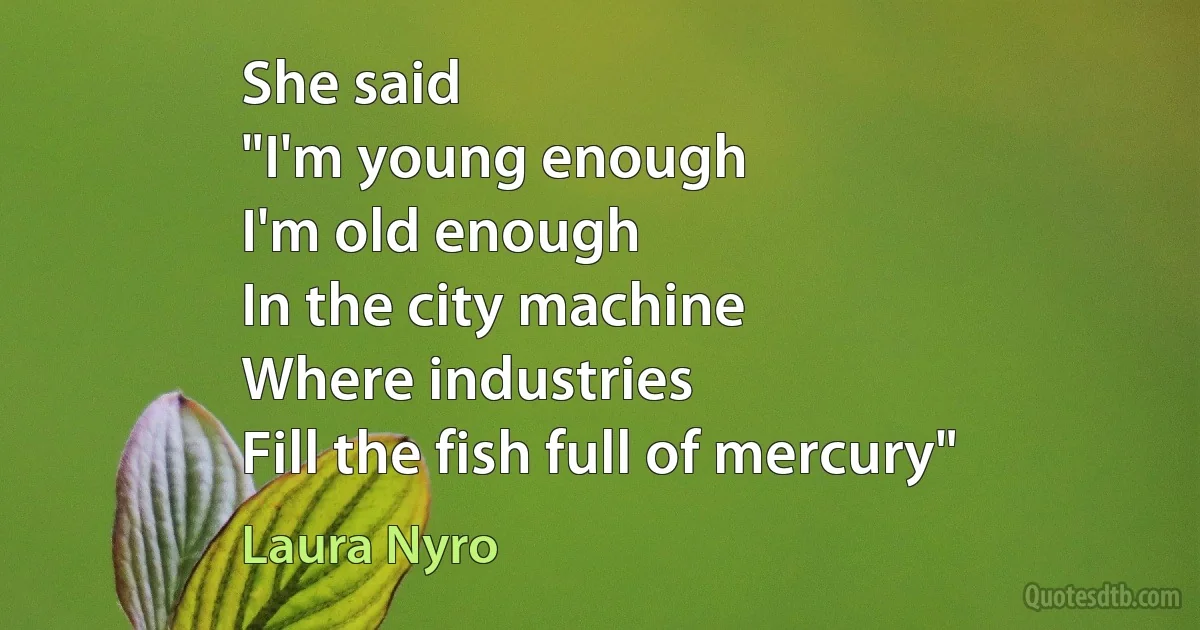 She said
"I'm young enough
I'm old enough
In the city machine
Where industries
Fill the fish full of mercury" (Laura Nyro)