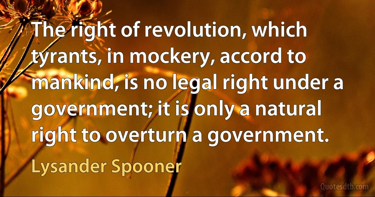 The right of revolution, which tyrants, in mockery, accord to mankind, is no legal right under a government; it is only a natural right to overturn a government. (Lysander Spooner)