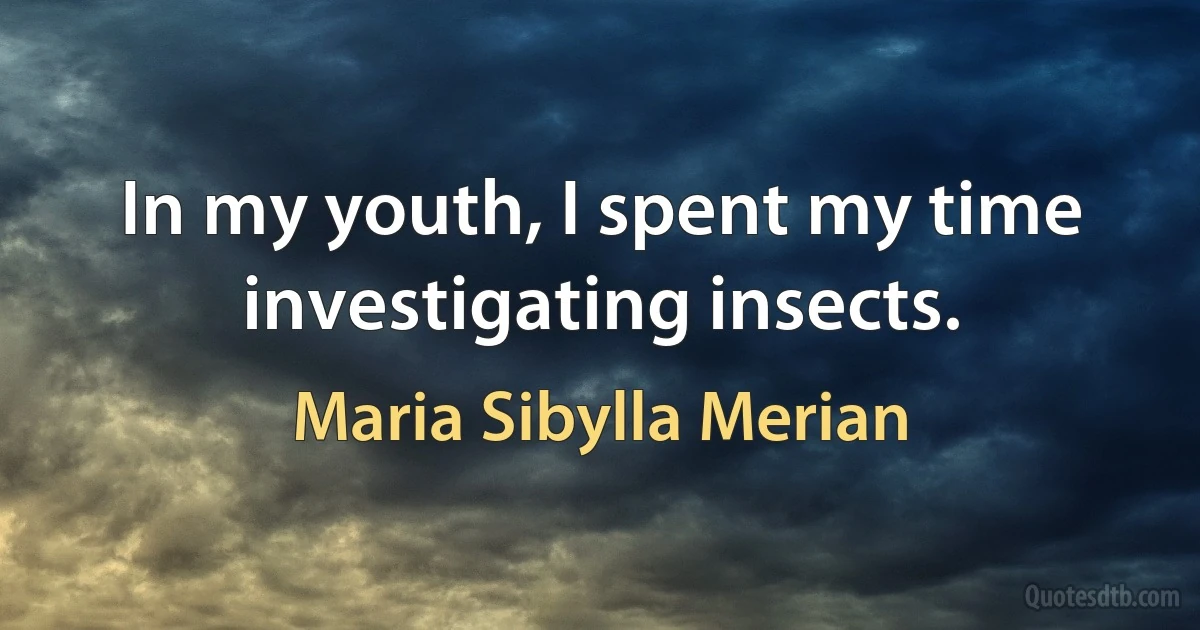 In my youth, I spent my time investigating insects. (Maria Sibylla Merian)