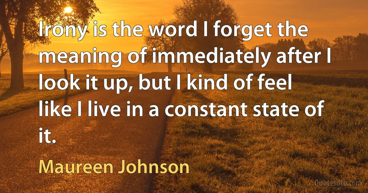 Irony is the word I forget the meaning of immediately after I look it up, but I kind of feel like I live in a constant state of it. (Maureen Johnson)