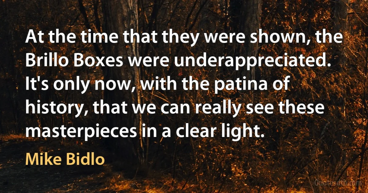 At the time that they were shown, the Brillo Boxes were underappreciated. It's only now, with the patina of history, that we can really see these masterpieces in a clear light. (Mike Bidlo)