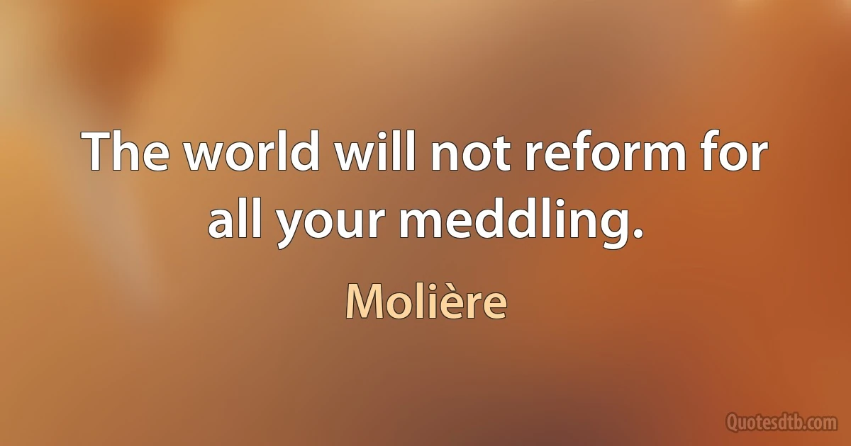 The world will not reform for all your meddling. (Molière)