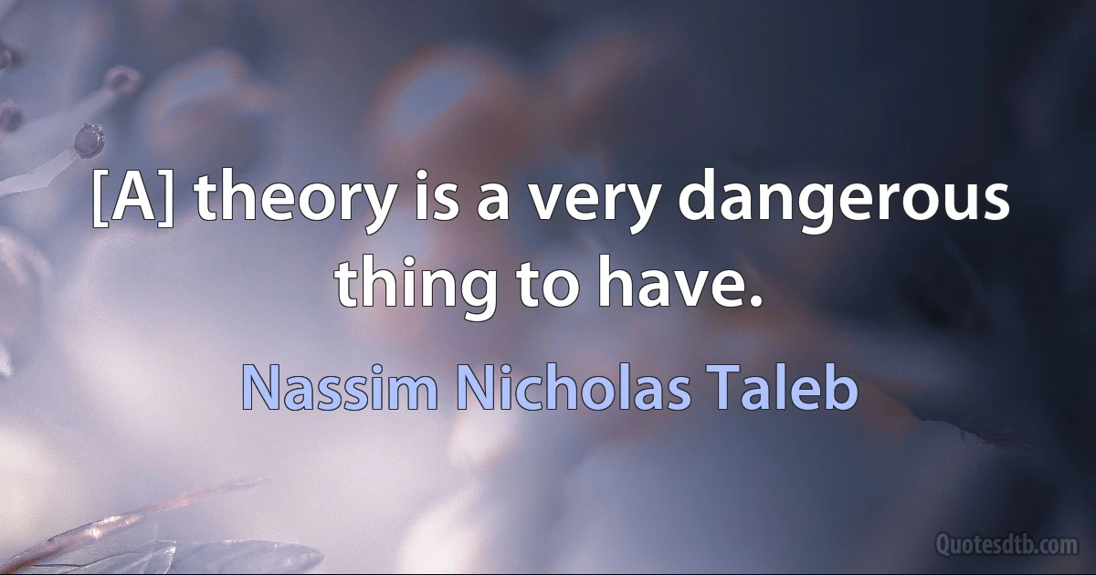 [A] theory is a very dangerous thing to have. (Nassim Nicholas Taleb)