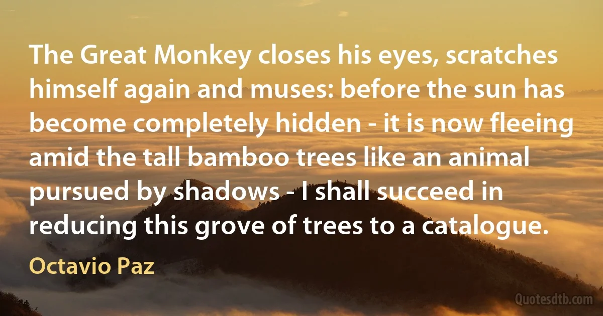 The Great Monkey closes his eyes, scratches himself again and muses: before the sun has become completely hidden - it is now fleeing amid the tall bamboo trees like an animal pursued by shadows - I shall succeed in reducing this grove of trees to a catalogue. (Octavio Paz)