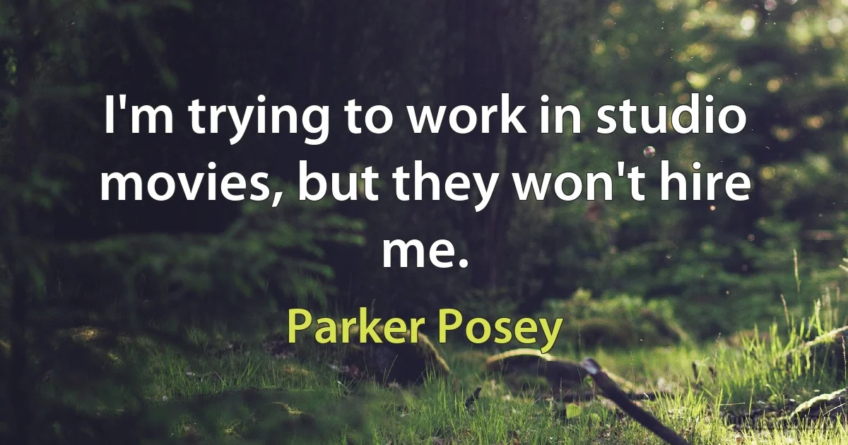 I'm trying to work in studio movies, but they won't hire me. (Parker Posey)