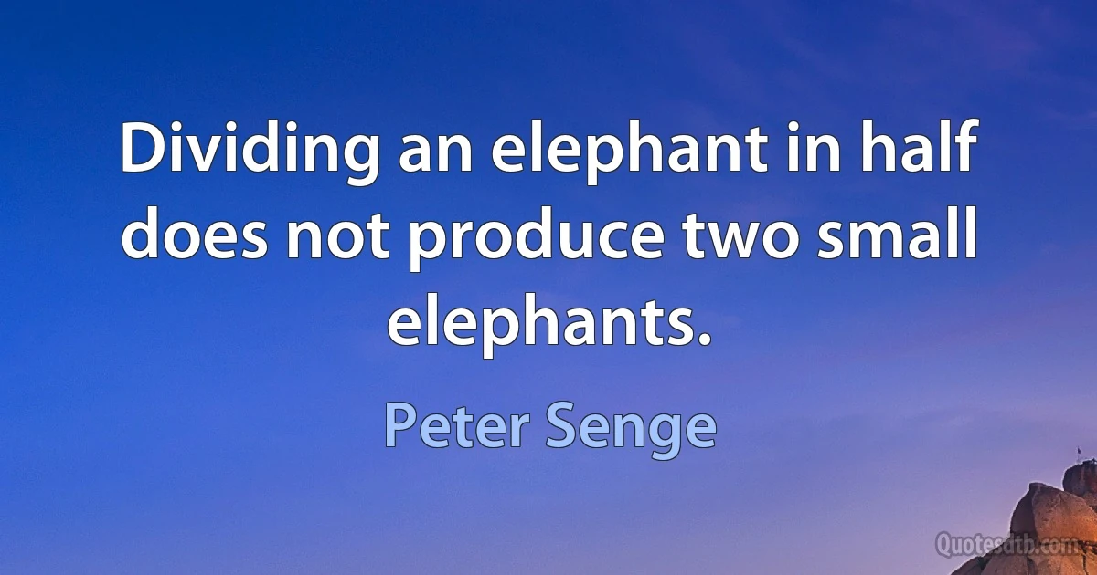 Dividing an elephant in half does not produce two small elephants. (Peter Senge)