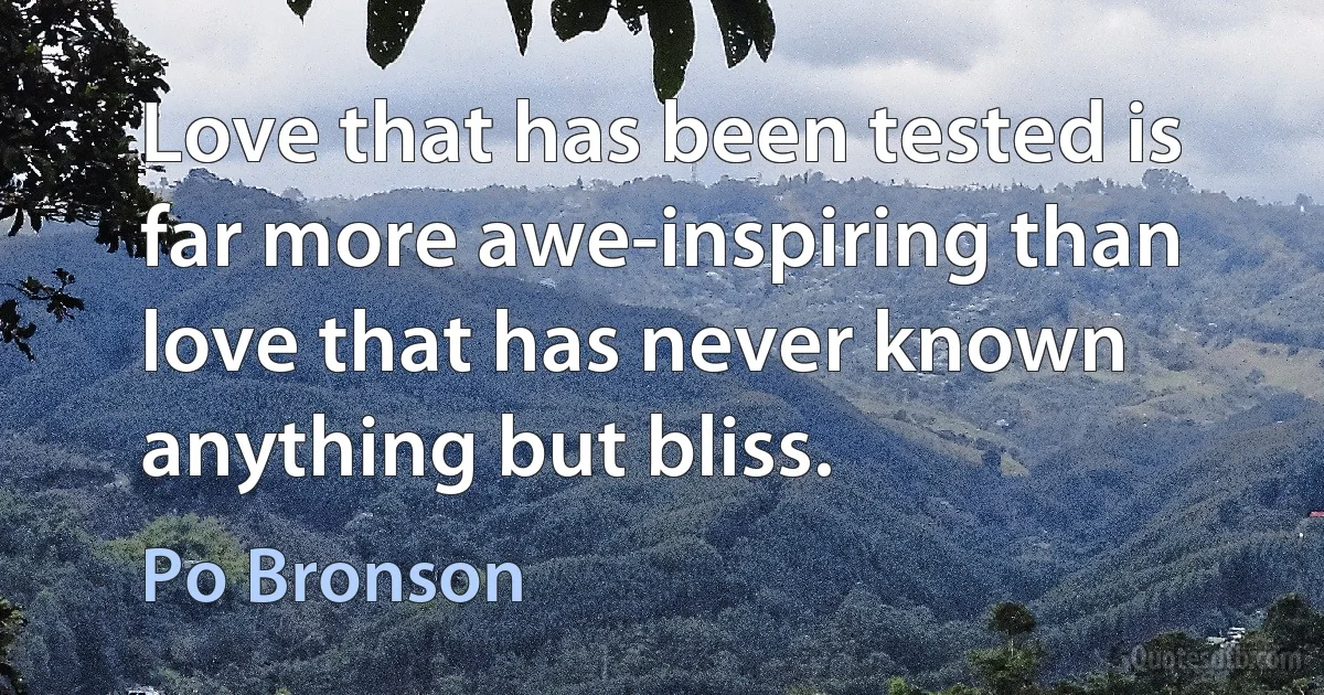 Love that has been tested is far more awe-inspiring than love that has never known anything but bliss. (Po Bronson)