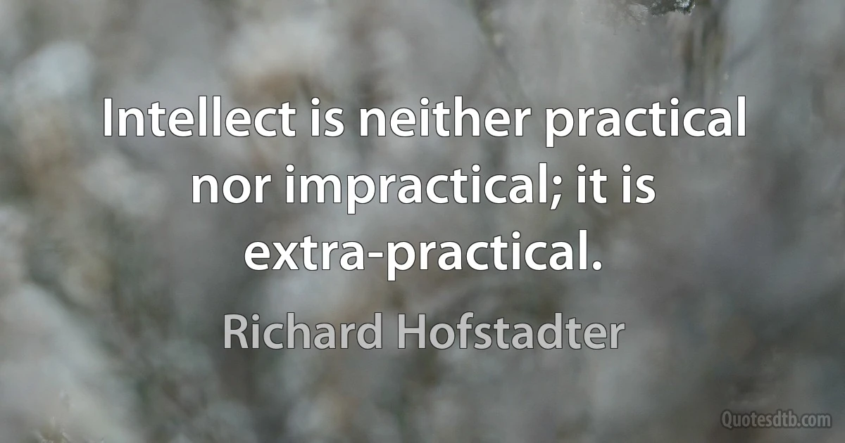 Intellect is neither practical nor impractical; it is extra-practical. (Richard Hofstadter)