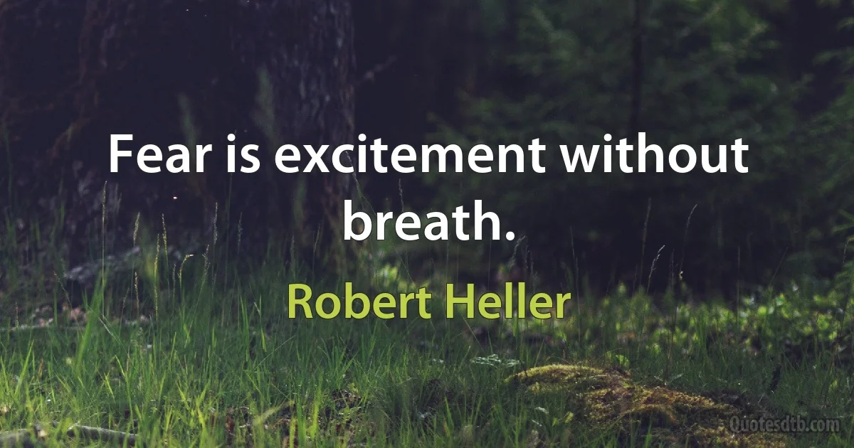 Fear is excitement without breath. (Robert Heller)