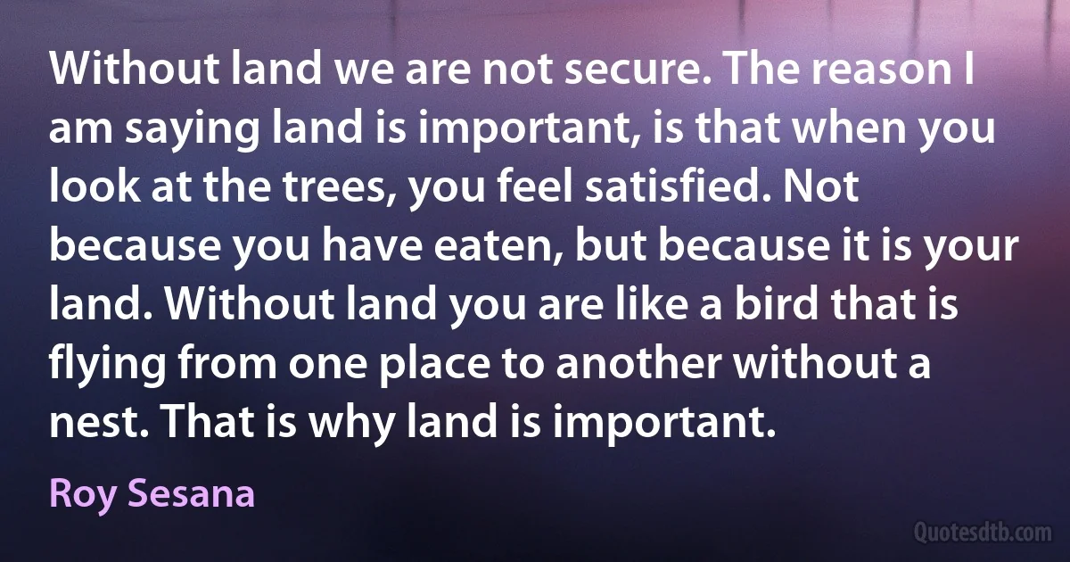 Without land we are not secure. The reason I am saying land is important, is that when you look at the trees, you feel satisfied. Not because you have eaten, but because it is your land. Without land you are like a bird that is flying from one place to another without a nest. That is why land is important. (Roy Sesana)