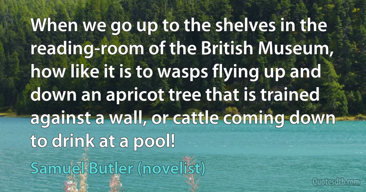 When we go up to the shelves in the reading-room of the British Museum, how like it is to wasps flying up and down an apricot tree that is trained against a wall, or cattle coming down to drink at a pool! (Samuel Butler (novelist))