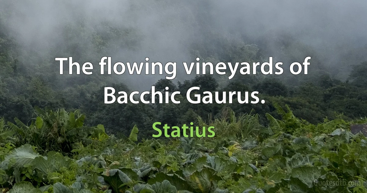 The flowing vineyards of Bacchic Gaurus. (Statius)