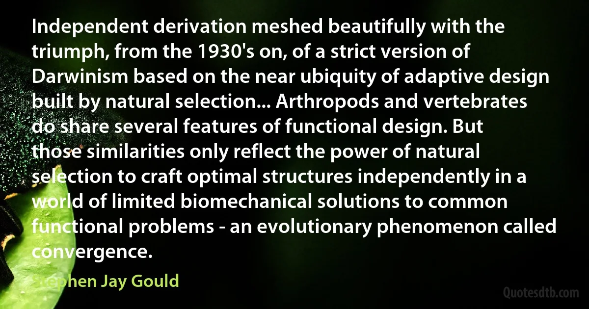 Independent derivation meshed beautifully with the triumph, from the 1930's on, of a strict version of Darwinism based on the near ubiquity of adaptive design built by natural selection... Arthropods and vertebrates do share several features of functional design. But those similarities only reflect the power of natural selection to craft optimal structures independently in a world of limited biomechanical solutions to common functional problems - an evolutionary phenomenon called convergence. (Stephen Jay Gould)