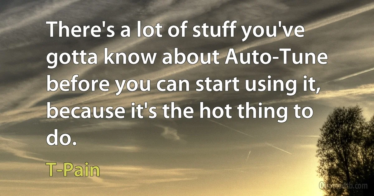 There's a lot of stuff you've gotta know about Auto-Tune before you can start using it, because it's the hot thing to do. (T-Pain)