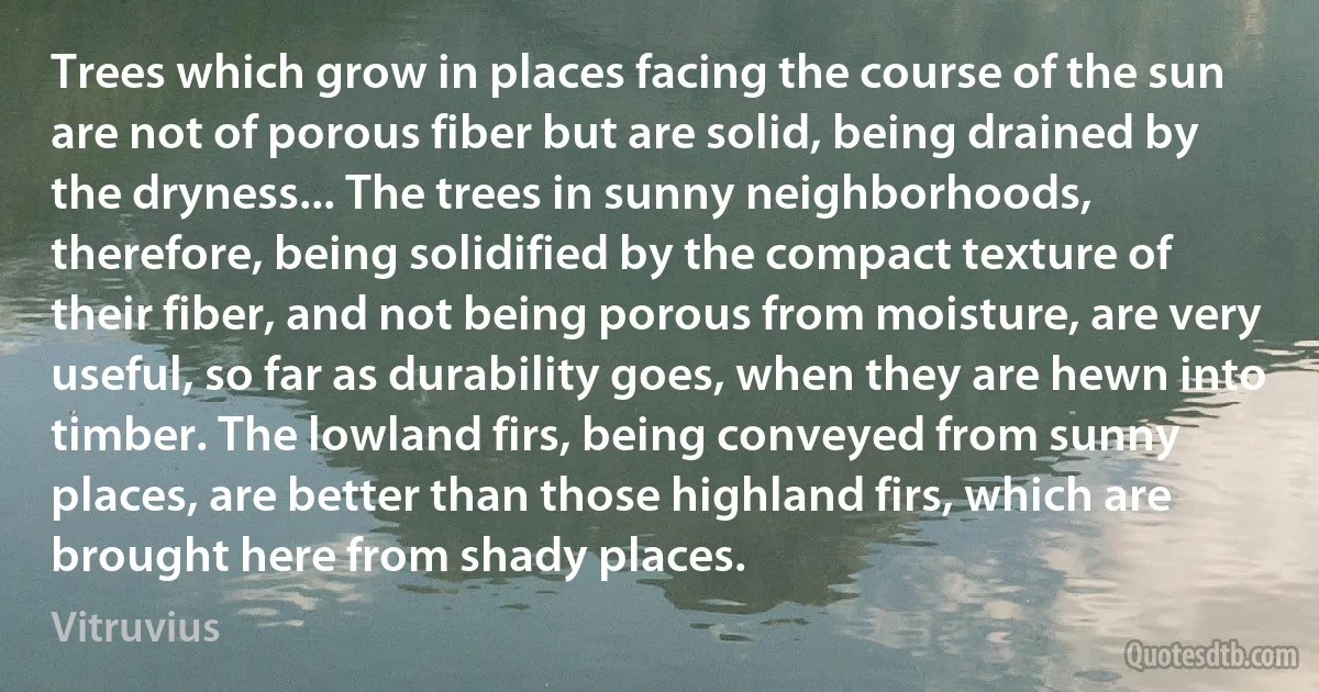 Trees which grow in places facing the course of the sun are not of porous fiber but are solid, being drained by the dryness... The trees in sunny neighborhoods, therefore, being solidified by the compact texture of their fiber, and not being porous from moisture, are very useful, so far as durability goes, when they are hewn into timber. The lowland firs, being conveyed from sunny places, are better than those highland firs, which are brought here from shady places. (Vitruvius)