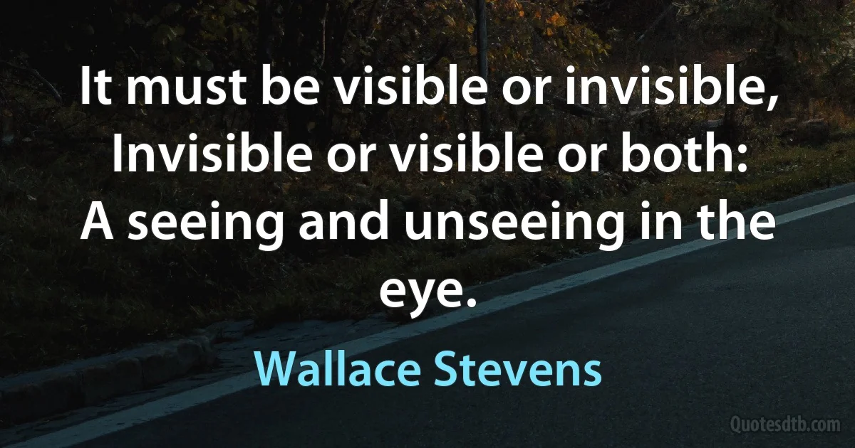 It must be visible or invisible,
Invisible or visible or both:
A seeing and unseeing in the eye. (Wallace Stevens)