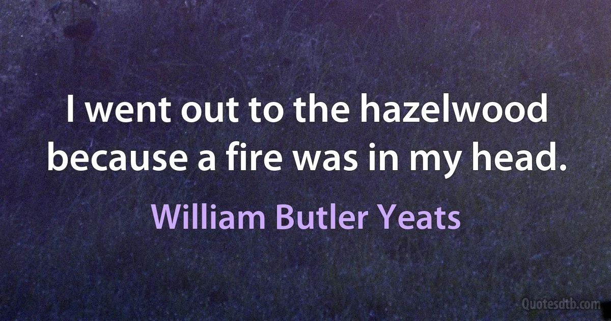 I went out to the hazelwood because a fire was in my head. (William Butler Yeats)