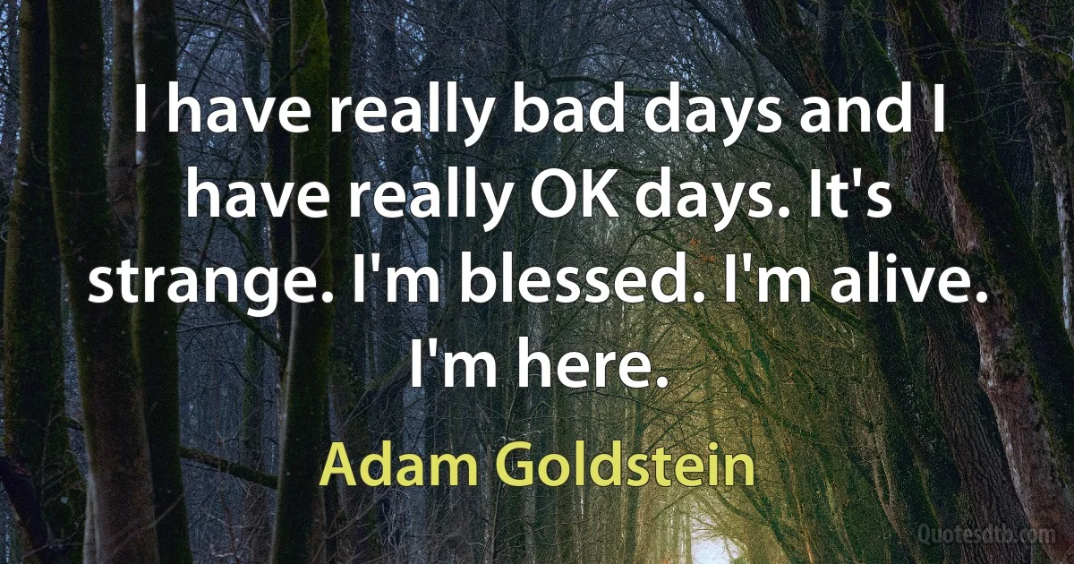 I have really bad days and I have really OK days. It's strange. I'm blessed. I'm alive. I'm here. (Adam Goldstein)