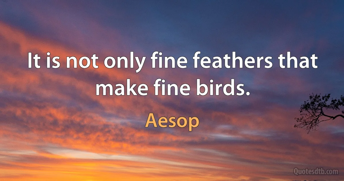 It is not only fine feathers that make fine birds. (Aesop)