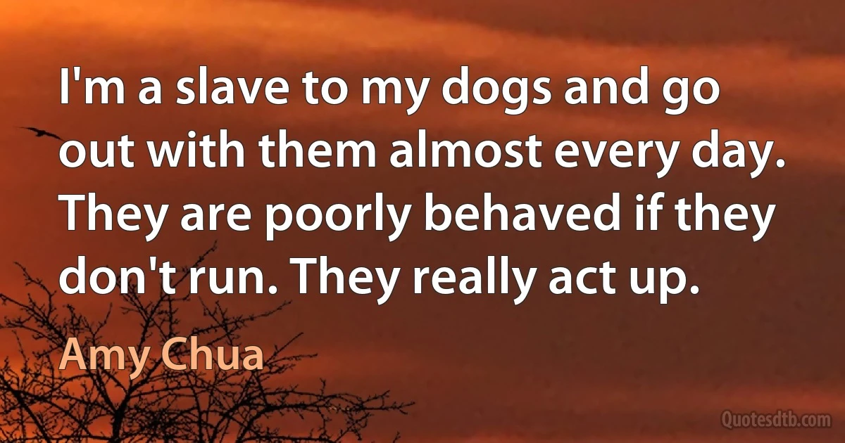 I'm a slave to my dogs and go out with them almost every day. They are poorly behaved if they don't run. They really act up. (Amy Chua)