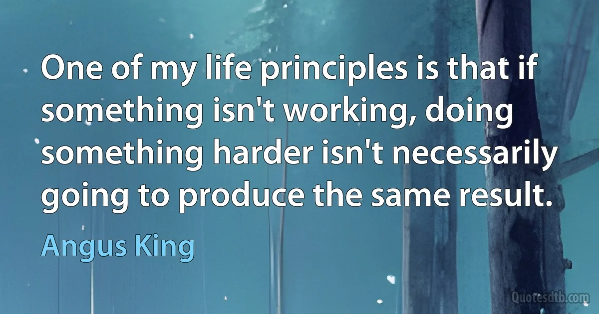 One of my life principles is that if something isn't working, doing something harder isn't necessarily going to produce the same result. (Angus King)