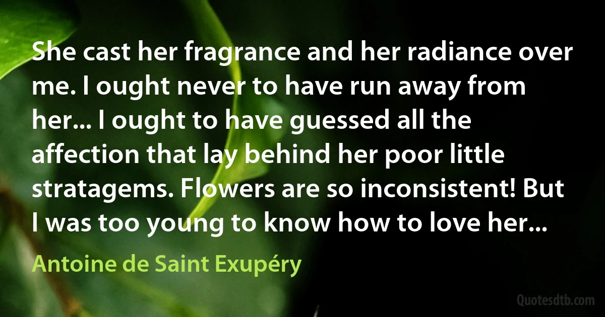 She cast her fragrance and her radiance over me. I ought never to have run away from her... I ought to have guessed all the affection that lay behind her poor little stratagems. Flowers are so inconsistent! But I was too young to know how to love her... (Antoine de Saint Exupéry)