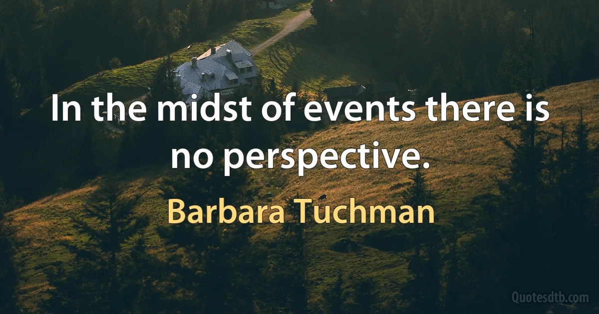 In the midst of events there is no perspective. (Barbara Tuchman)