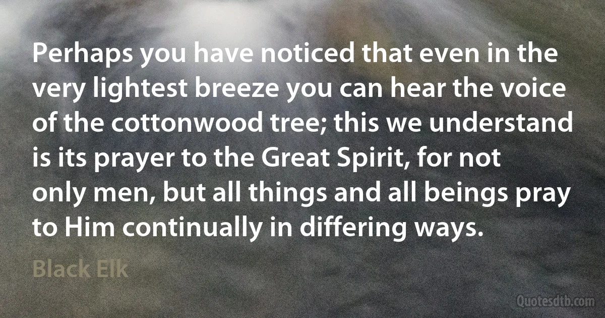 Perhaps you have noticed that even in the very lightest breeze you can hear the voice of the cottonwood tree; this we understand is its prayer to the Great Spirit, for not only men, but all things and all beings pray to Him continually in differing ways. (Black Elk)