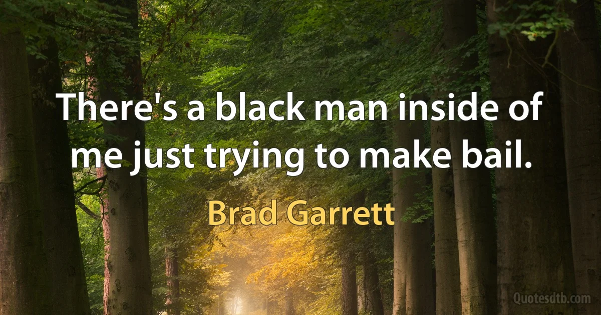 There's a black man inside of me just trying to make bail. (Brad Garrett)