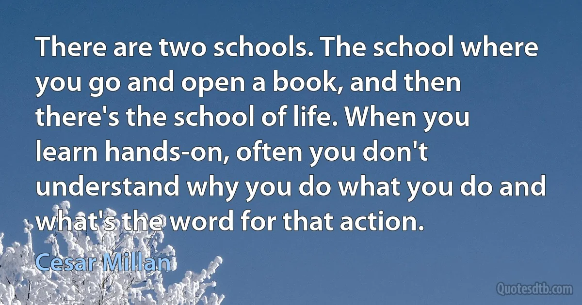 There are two schools. The school where you go and open a book, and then there's the school of life. When you learn hands-on, often you don't understand why you do what you do and what's the word for that action. (Cesar Millan)