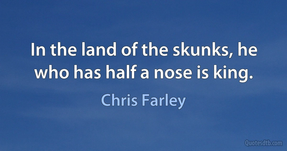 In the land of the skunks, he who has half a nose is king. (Chris Farley)