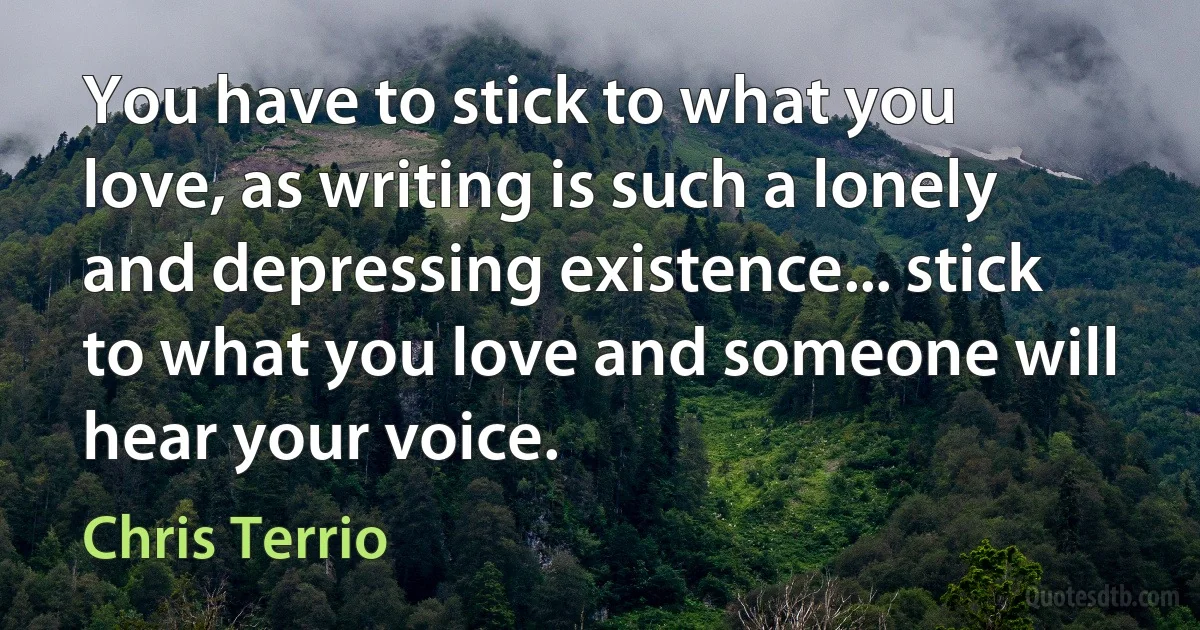 You have to stick to what you love, as writing is such a lonely and depressing existence... stick to what you love and someone will hear your voice. (Chris Terrio)