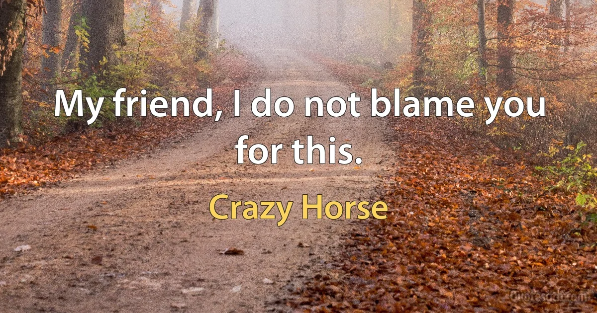 My friend, I do not blame you for this. (Crazy Horse)