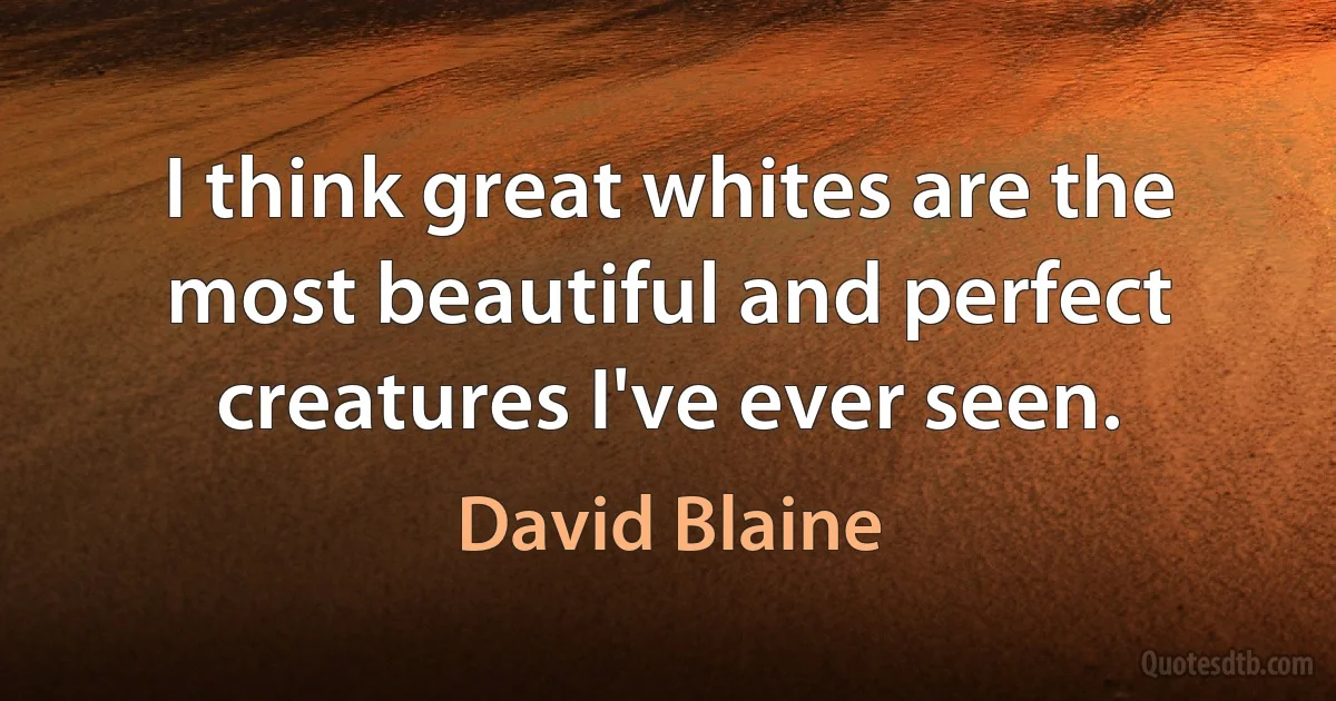 I think great whites are the most beautiful and perfect creatures I've ever seen. (David Blaine)