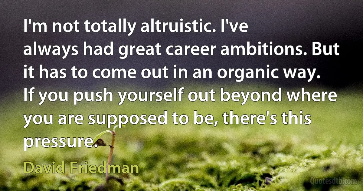 I'm not totally altruistic. I've always had great career ambitions. But it has to come out in an organic way. If you push yourself out beyond where you are supposed to be, there's this pressure. (David Friedman)