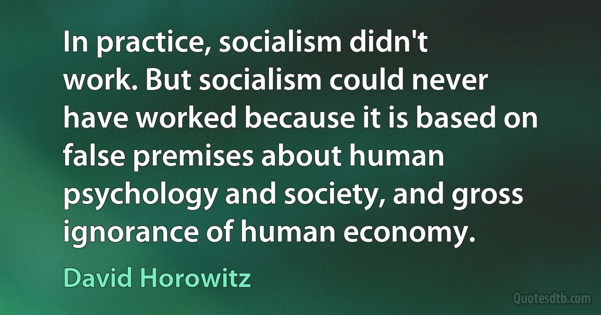 In practice, socialism didn't work. But socialism could never have worked because it is based on false premises about human psychology and society, and gross ignorance of human economy. (David Horowitz)