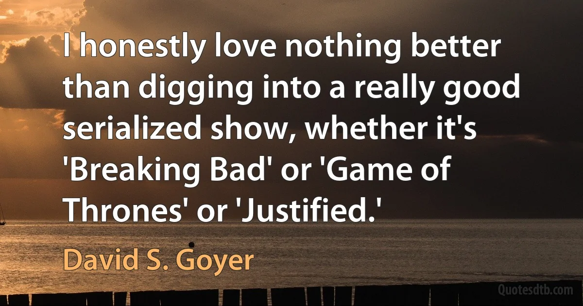 I honestly love nothing better than digging into a really good serialized show, whether it's 'Breaking Bad' or 'Game of Thrones' or 'Justified.' (David S. Goyer)