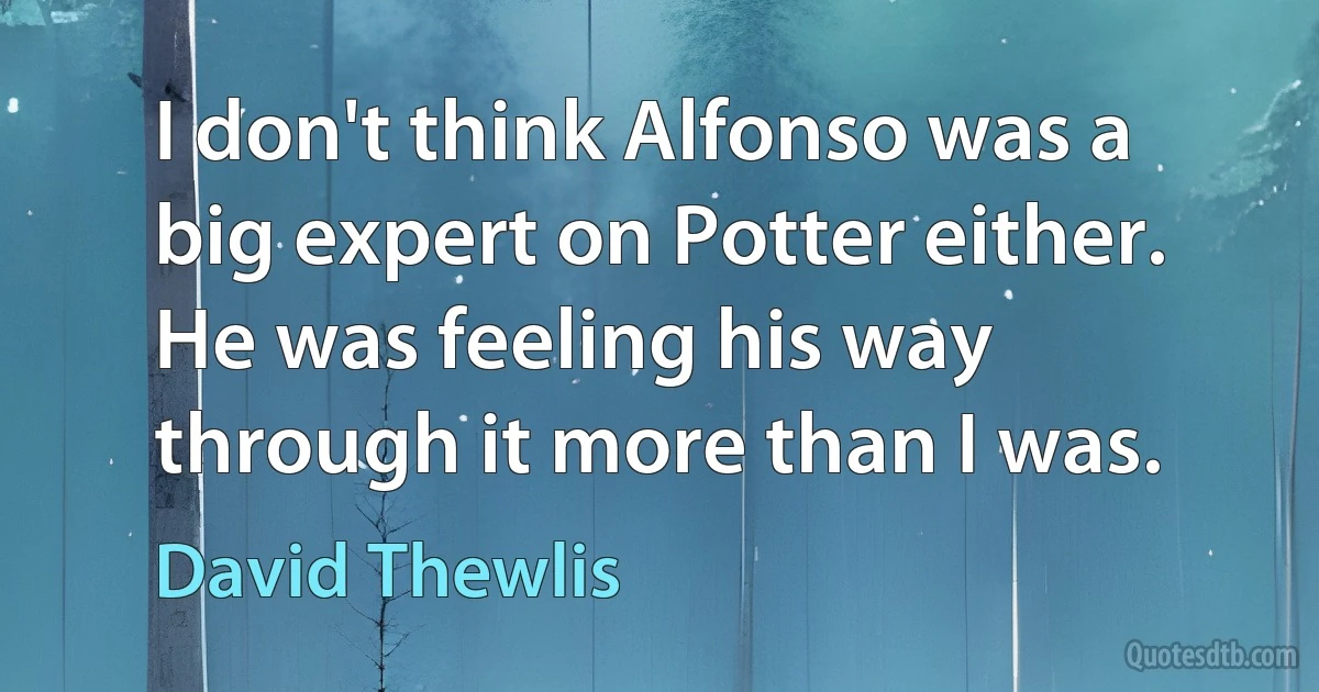 I don't think Alfonso was a big expert on Potter either. He was feeling his way through it more than I was. (David Thewlis)