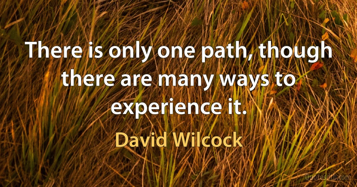 There is only one path, though there are many ways to experience it. (David Wilcock)