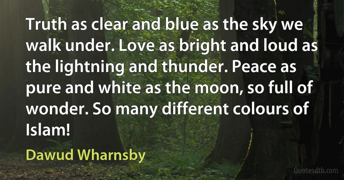 Truth as clear and blue as the sky we walk under. Love as bright and loud as the lightning and thunder. Peace as pure and white as the moon, so full of wonder. So many different colours of Islam! (Dawud Wharnsby)